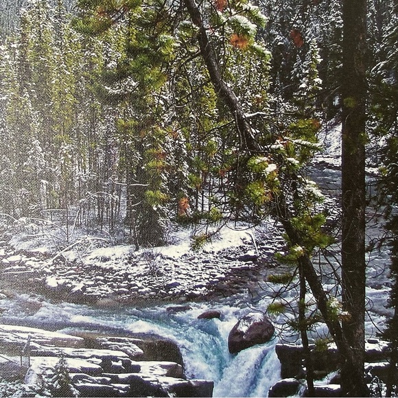 🍒Free Gift with 3+ items purchased🍒. Original Artist Photography on Canvas - Picture 7 of 9